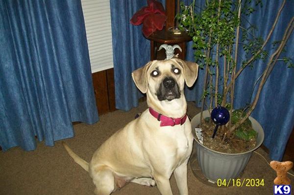 Sharon Inman Picture 1